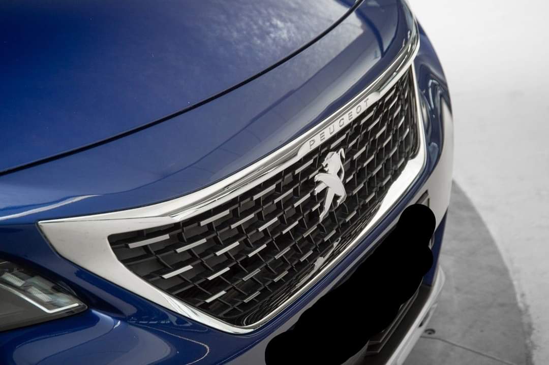 Peugeot 3008 Hook – Image 5