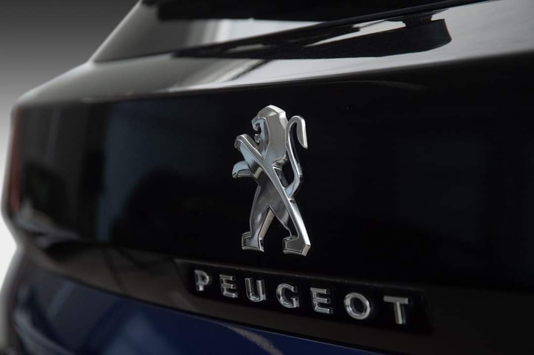 Peugeot 3008 Hook – Image 25